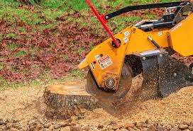 Best Root Management and Removal  in Grass Lake, MI